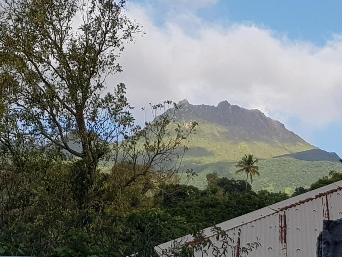 Chez Ena La Fibre Internet Et Le Calme Villa Saint-Claude Ngoại thất bức ảnh